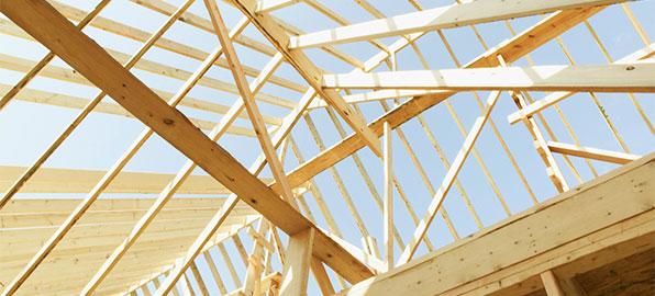 A CASA VIVA tem experiência em trabalhos de carpintaria em Estruturas como pérgulas, telheiros e telhados com estrutura e/ou forro em madeira.
